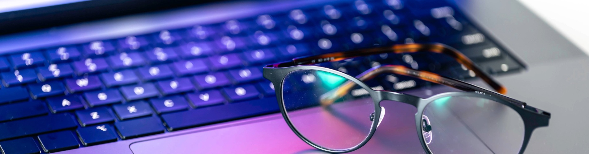 2026 Course Offerings